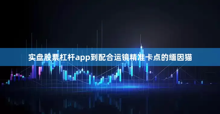 实盘股票杠杆app到配合运镜精准卡点的缅因猫